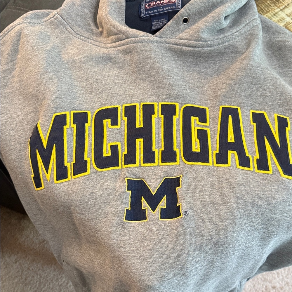 Champs Gray Michigan Hoodie GO BIG BLUE